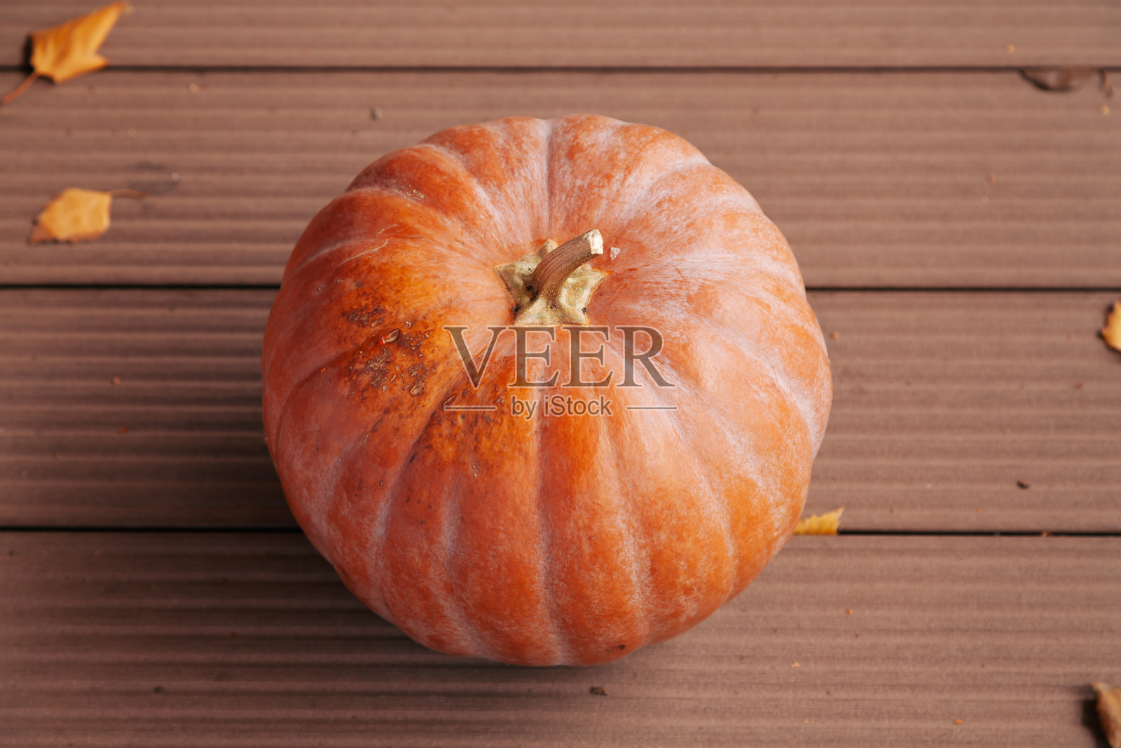 橙色的圆南瓜和木板上的叶子。从上面的观点照片摄影图片