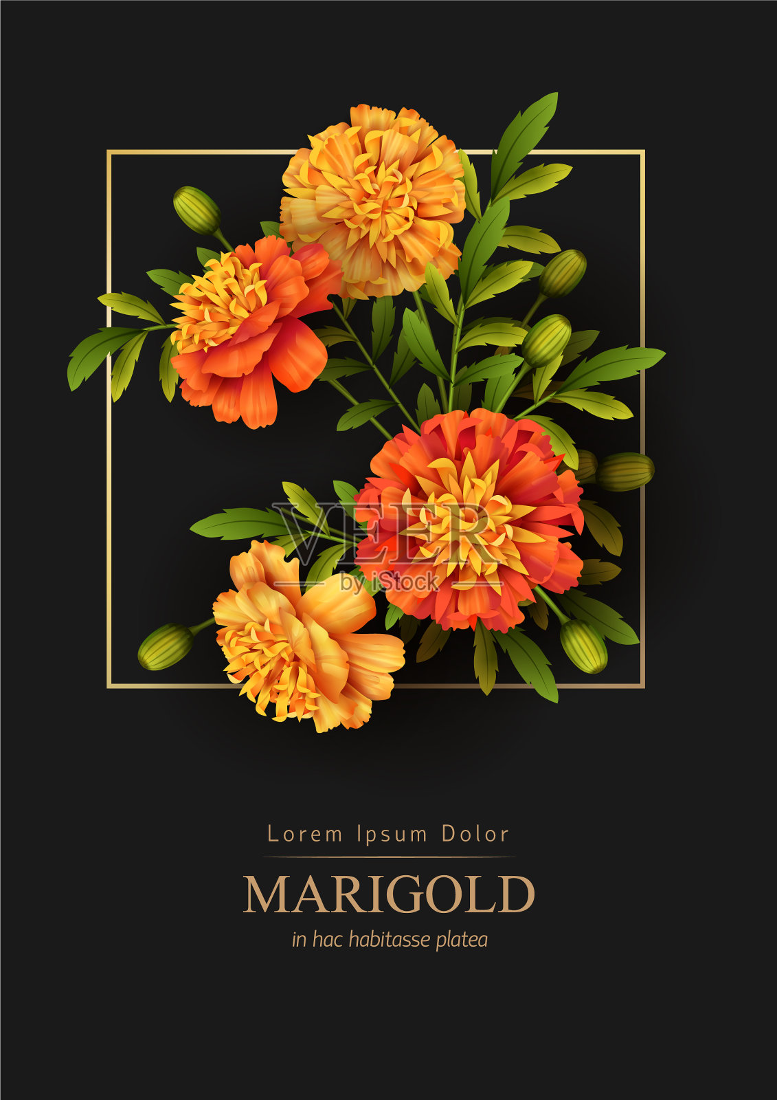 花的节日背景设计模板素材