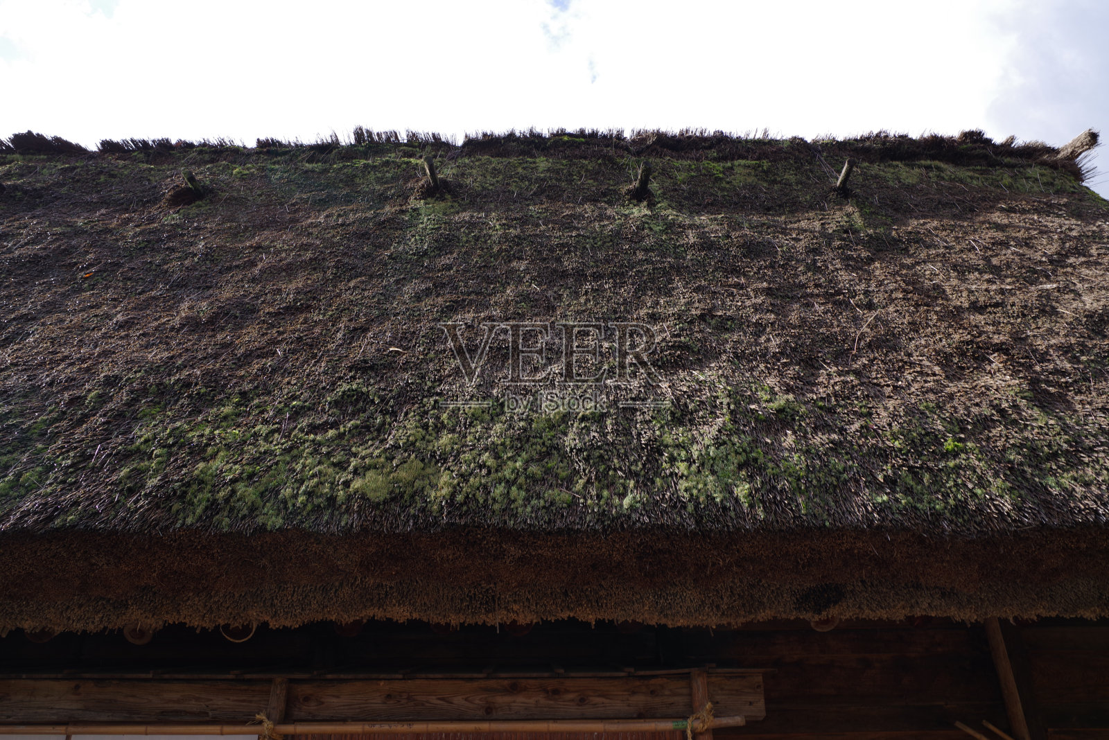 屋顶上的树木顶着天空照片摄影图片