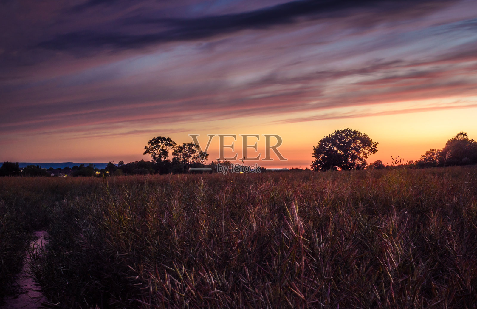 戏剧性的田野黄昏照片摄影图片