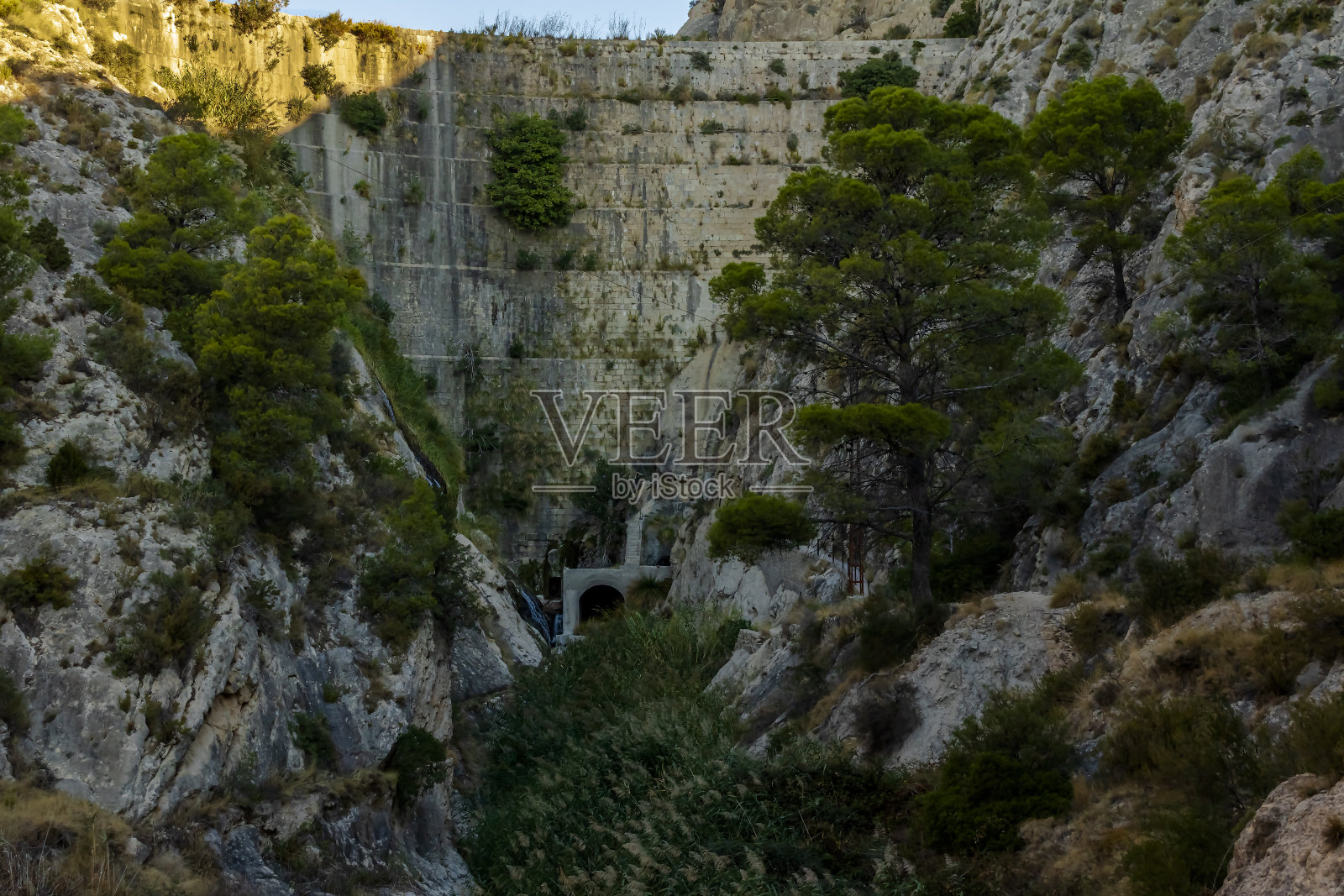 西班牙阿利坎特的提比沼泽日出的景色。照片摄影图片