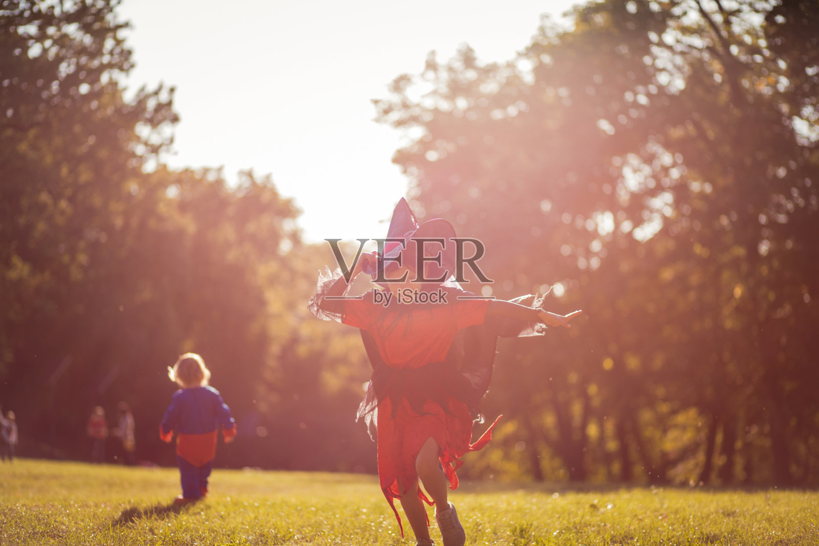 有趣的性质。照片摄影图片