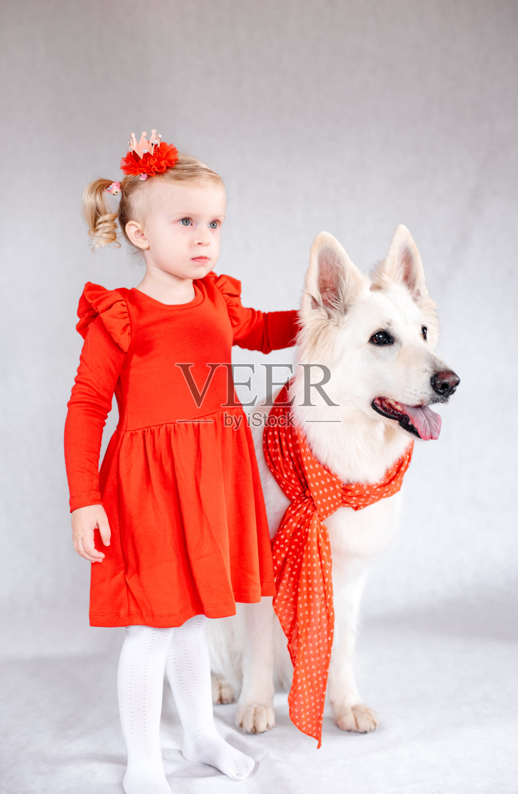 孩子在抚摸狗。照片摄影图片