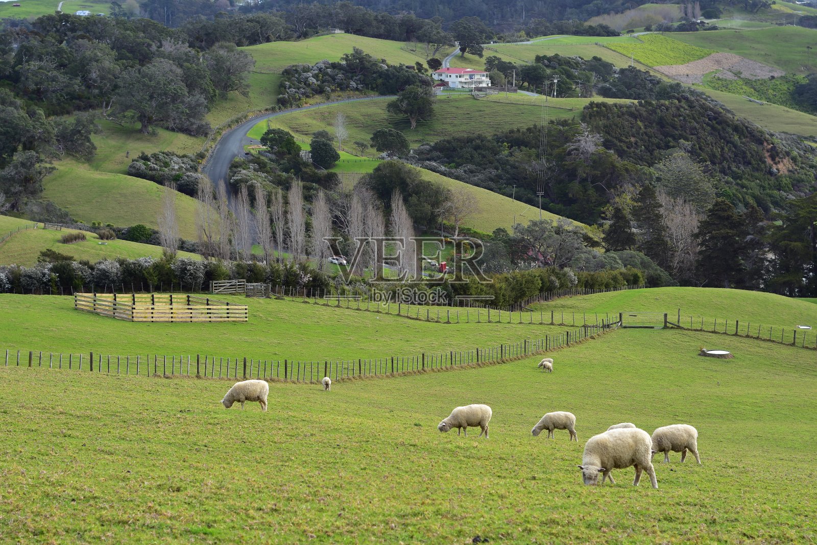 斯佳丽特地区公园风景照片摄影图片