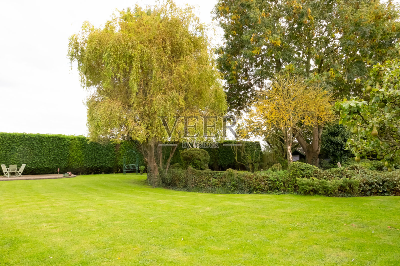 保养良好的草坪和私家花园。照片摄影图片