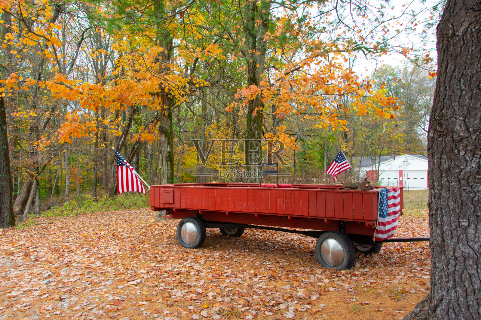 Hayride货车-印第安纳州欧文县照片摄影图片
