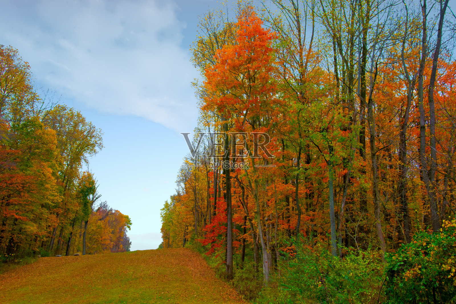 秋天的颜色-雪雪橇山在秋天-印第安纳照片摄影图片