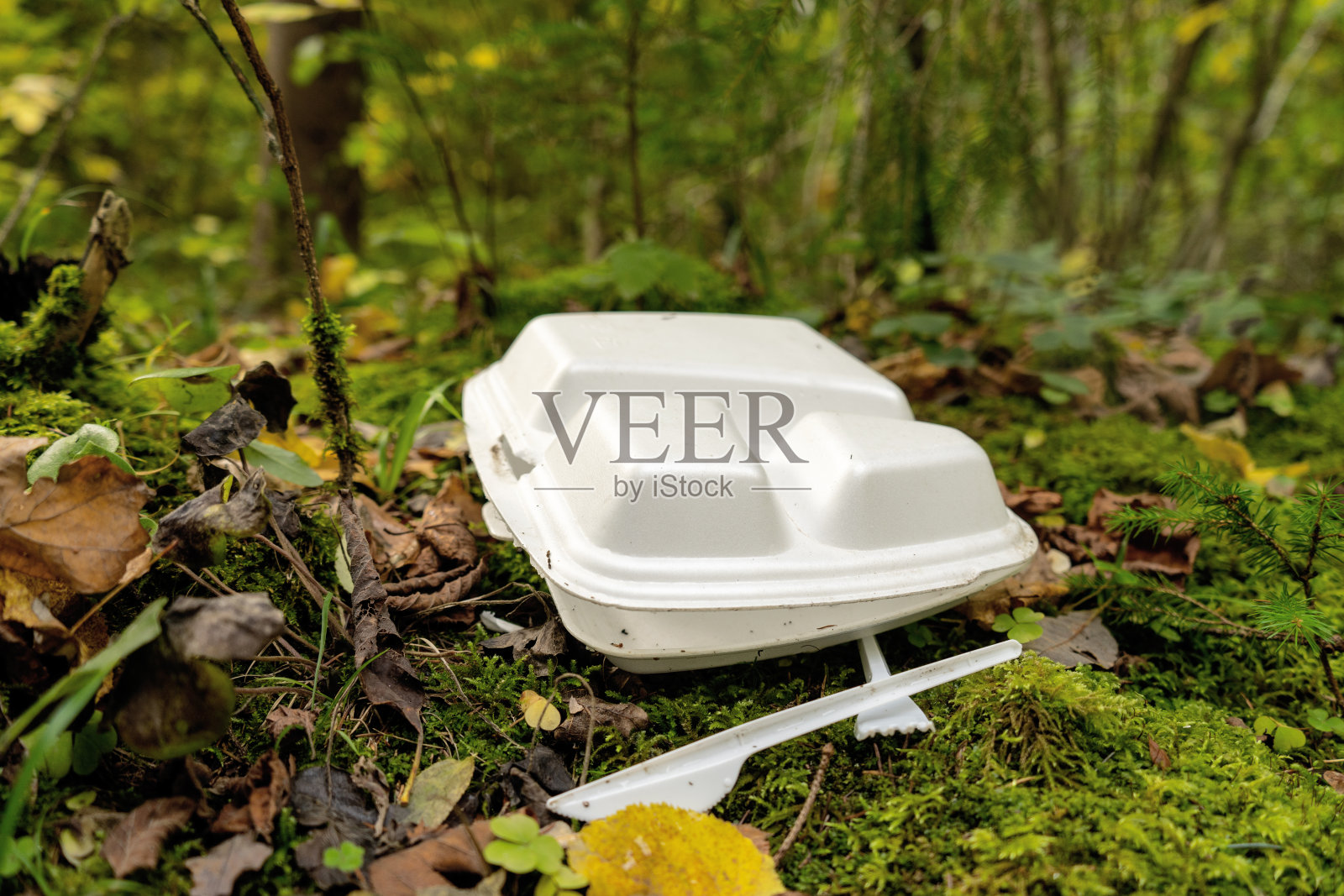 旧的一次性塑料板，盒子在森林里。照片摄影图片