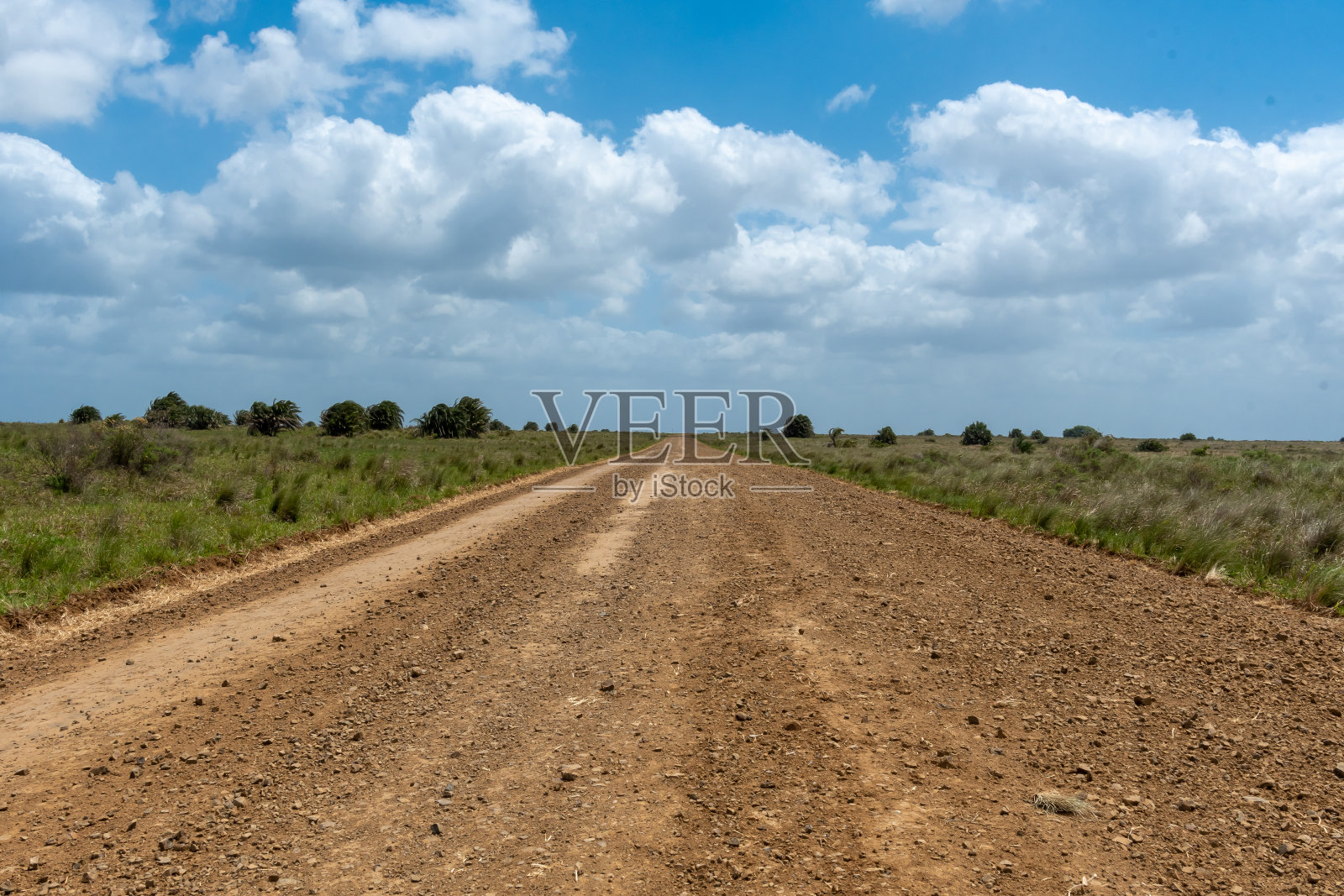 南非的沙路照片摄影图片
