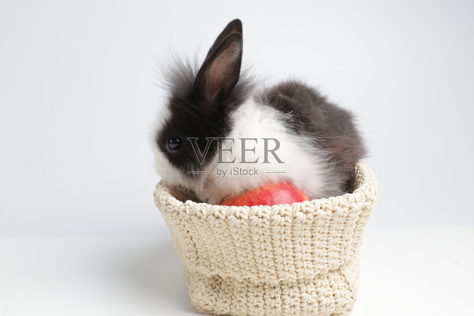 可爱的复活节兔子在白色的背景照片摄影图片