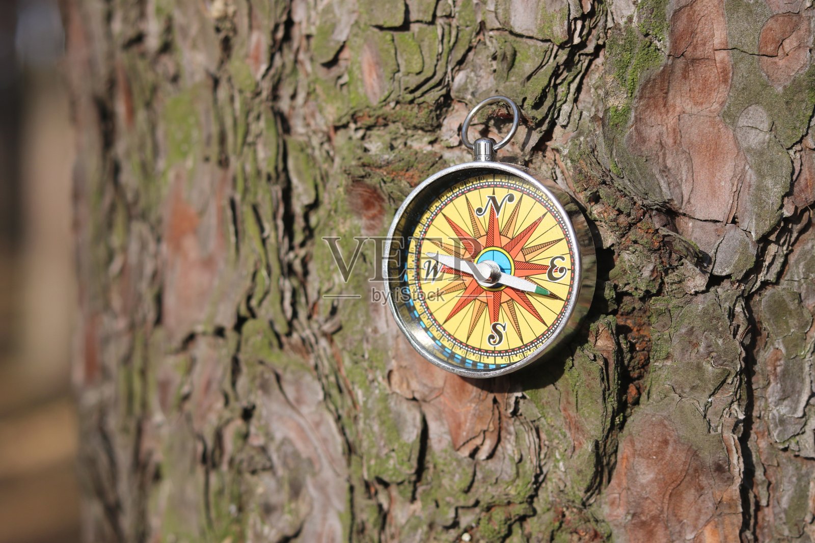 木制背景上的圆规作为旅游罗盘的象征照片摄影图片