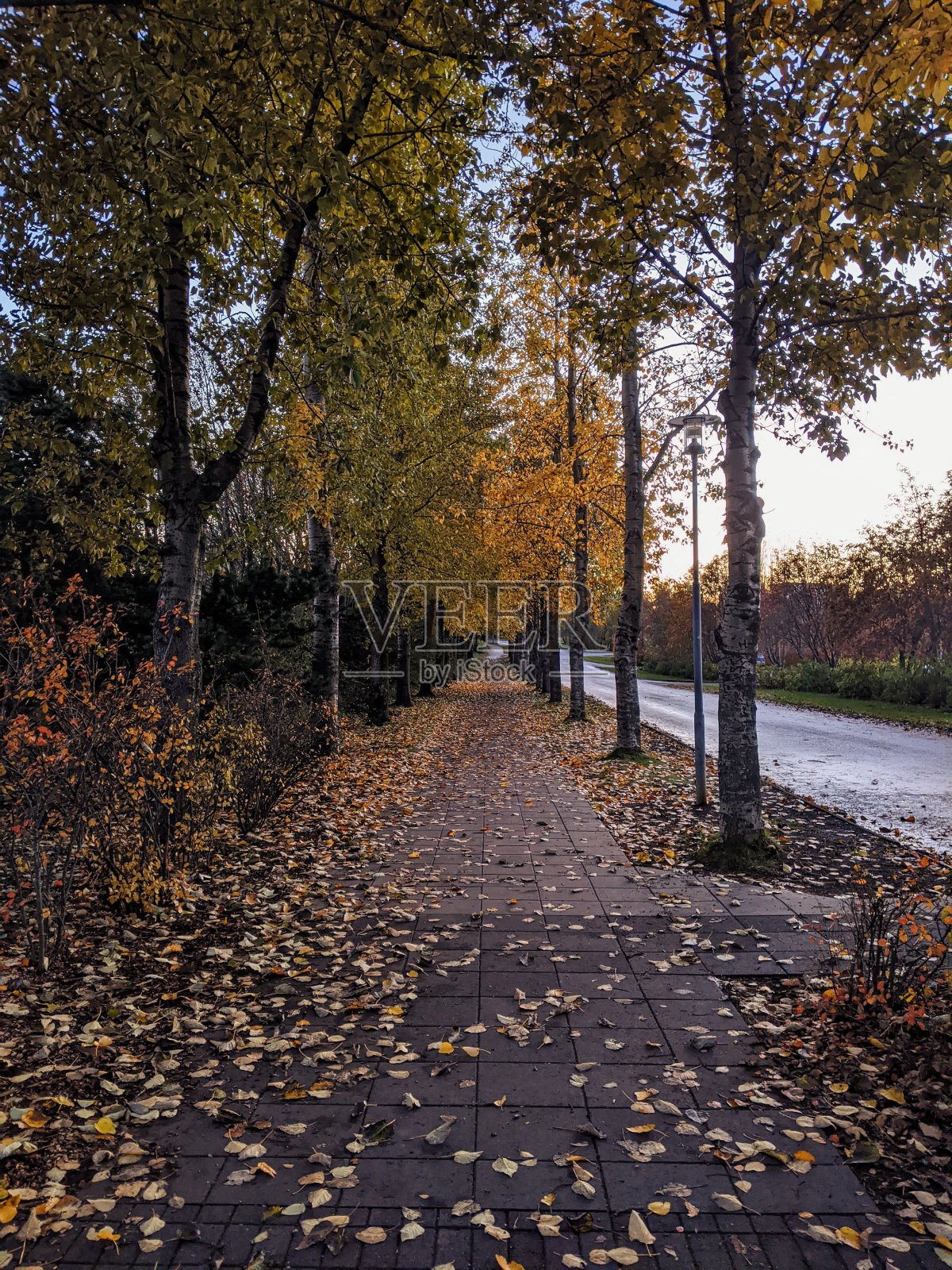 秋天的雷克雅未克照片摄影图片