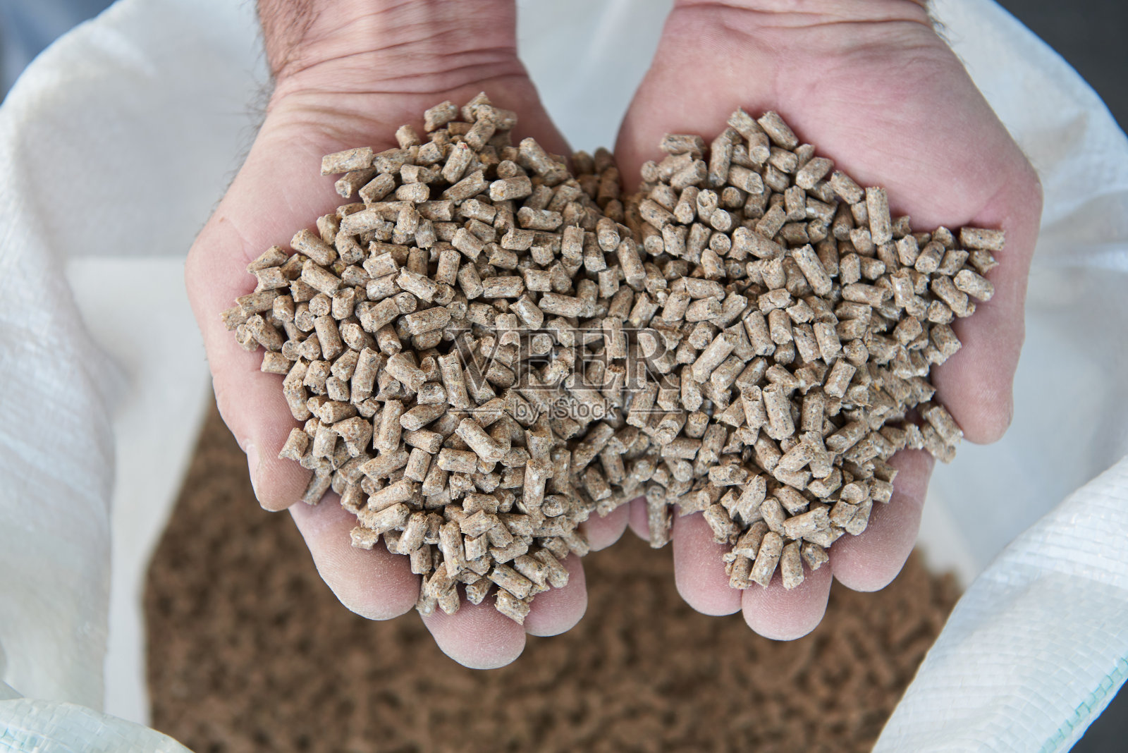 人手中干燥颗粒状动物饲料照片摄影图片
