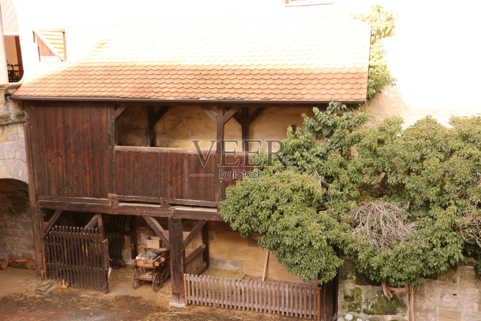 巴伐利亚Forchheim城堡的小木材种植照片摄影图片