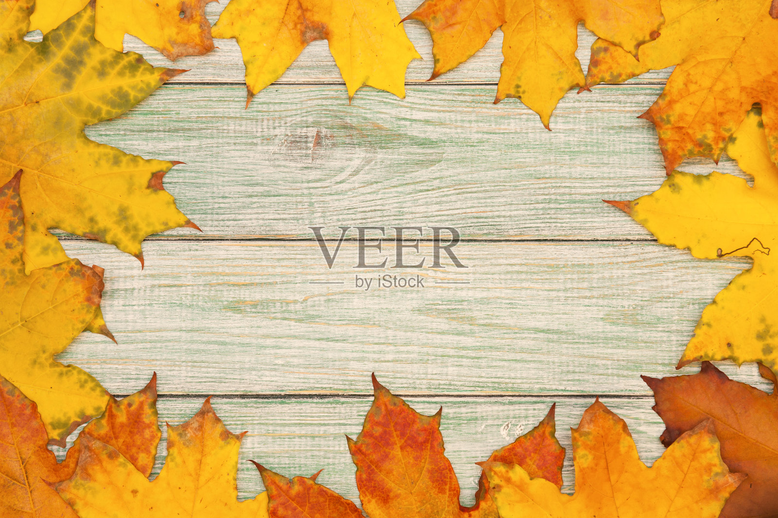 木制背景上五颜六色的枫叶。秋天的背景。照片摄影图片