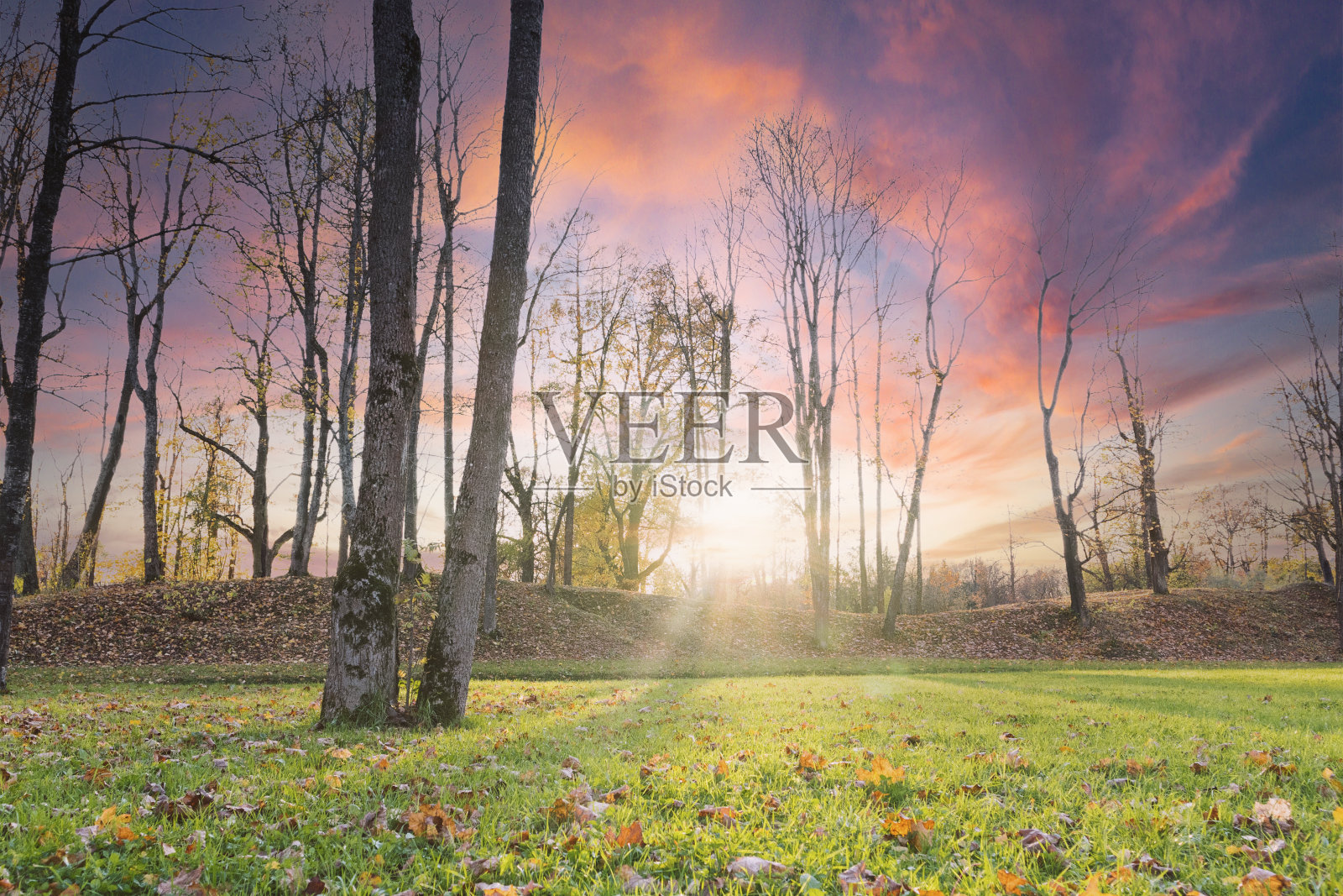 景观公园秋高气爽，草坪阳光灿烂，艺术天空照片摄影图片