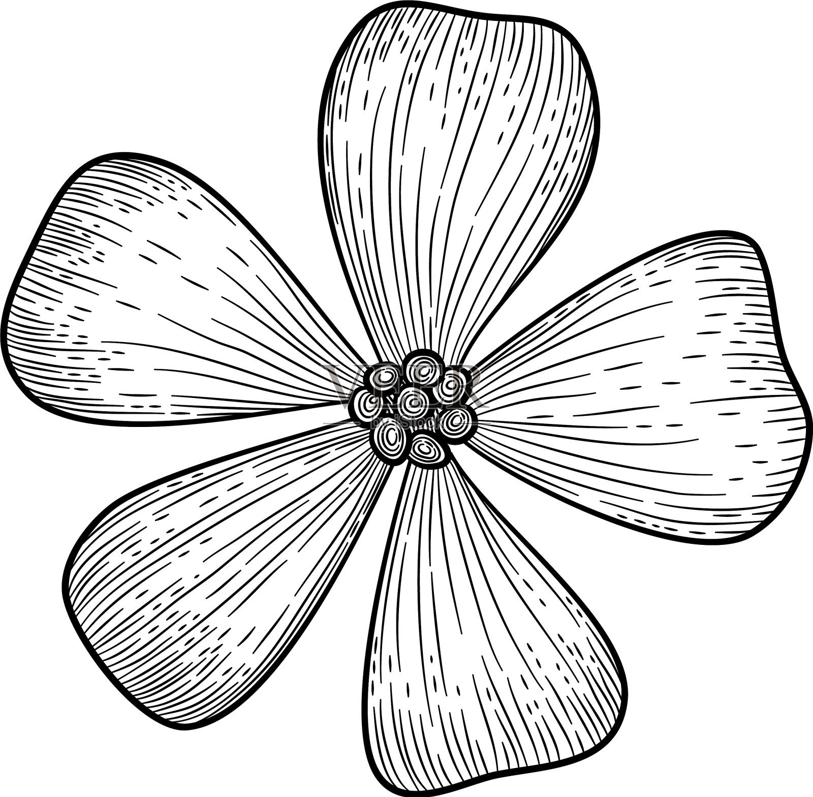 丛林热带岛屿花卉图标手绘设计元素图片