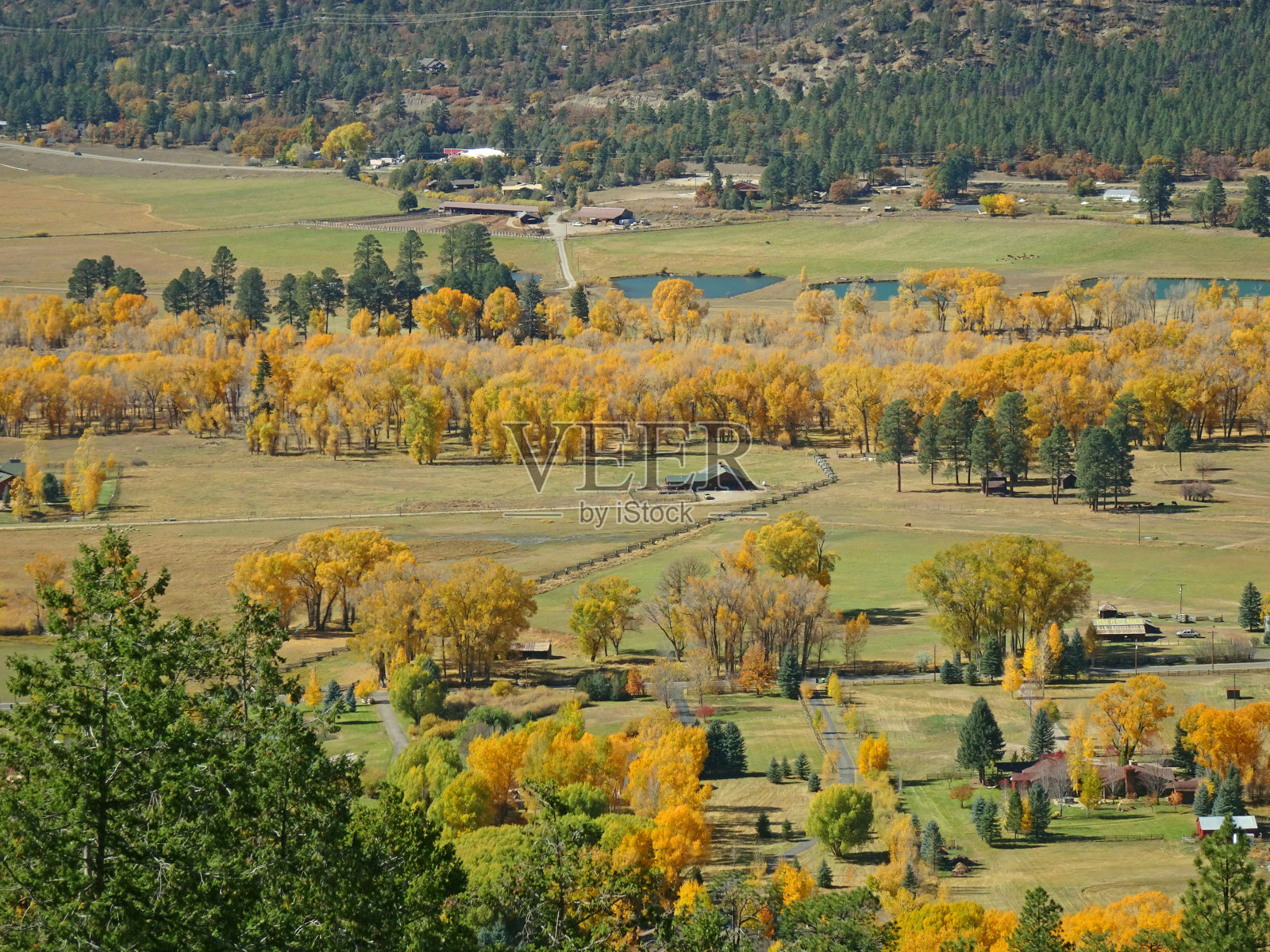 科罗拉多州的秋天照片摄影图片