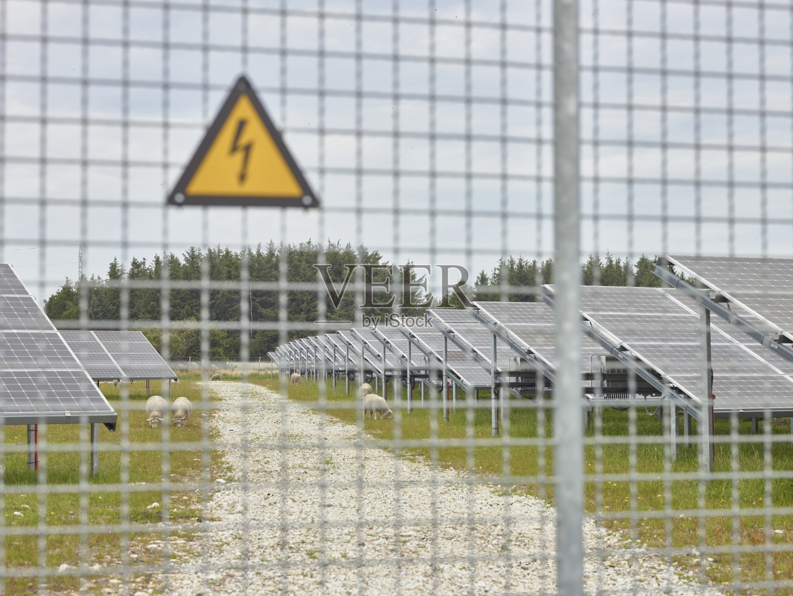 太阳能发电厂前的电栅栏照片摄影图片