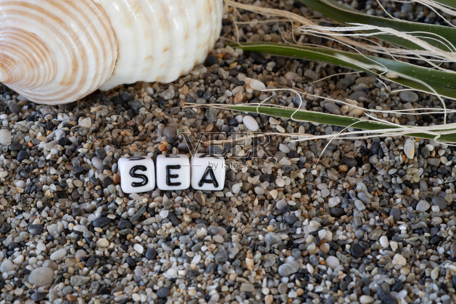 题海文字以静物写生的文字陈列在岸边的沙石上照片摄影图片