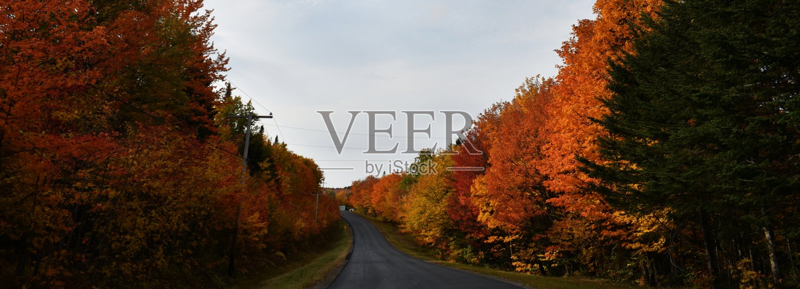 这条路照片摄影图片