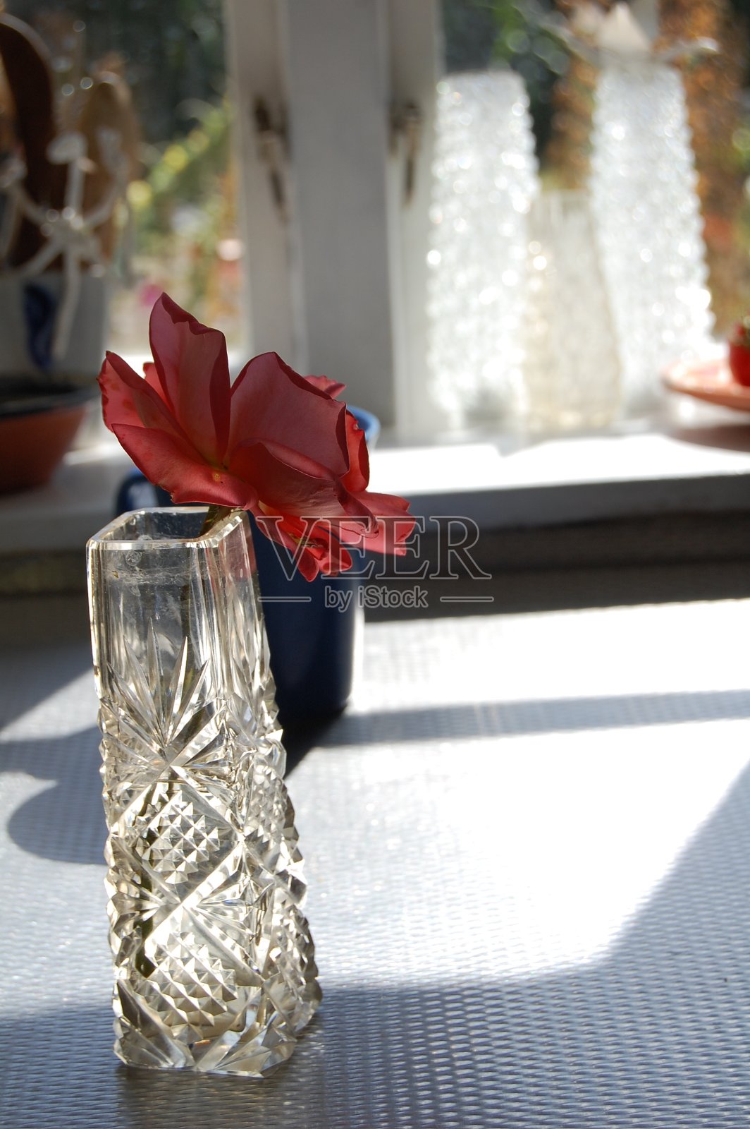 厨房柜台上的水晶花瓶里插着一朵老玫瑰，还有阳光。照片摄影图片