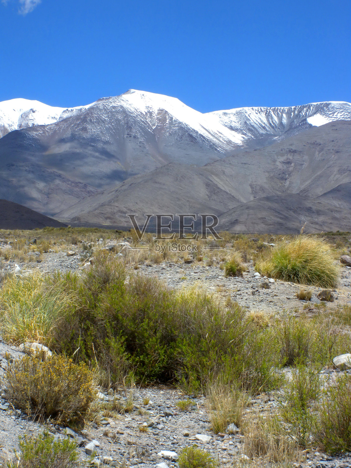 从普纳平原看雪山照片摄影图片