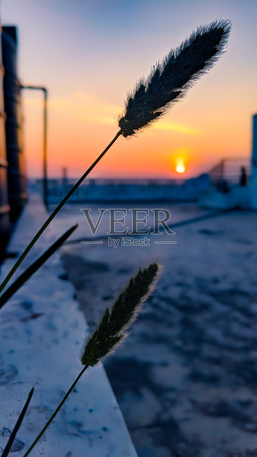 日落照片摄影图片