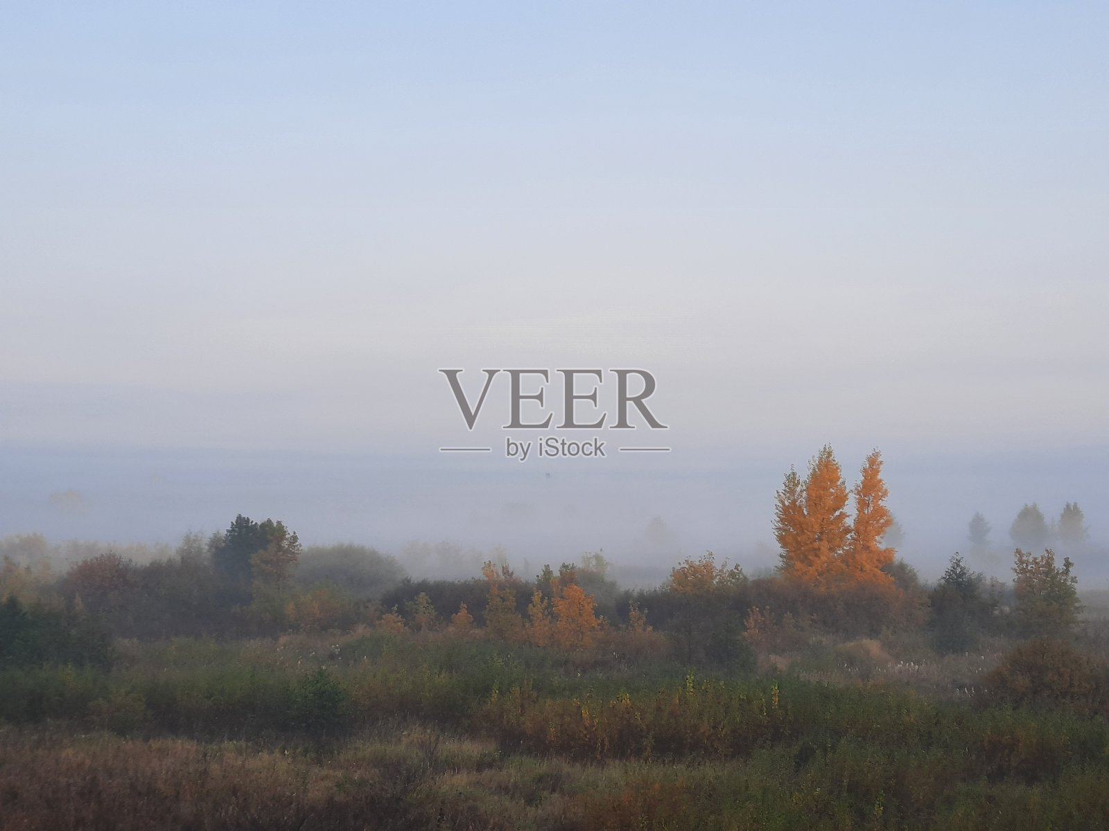 晨雾照片摄影图片