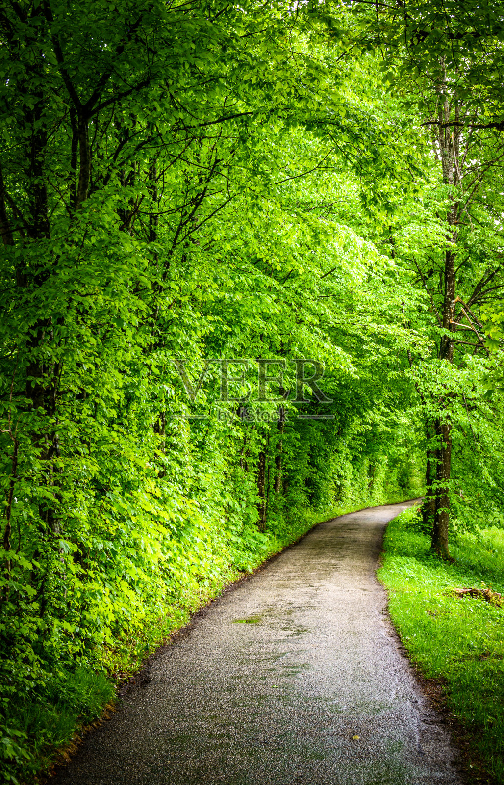 阿尔卑斯山古老的乡村公路照片摄影图片