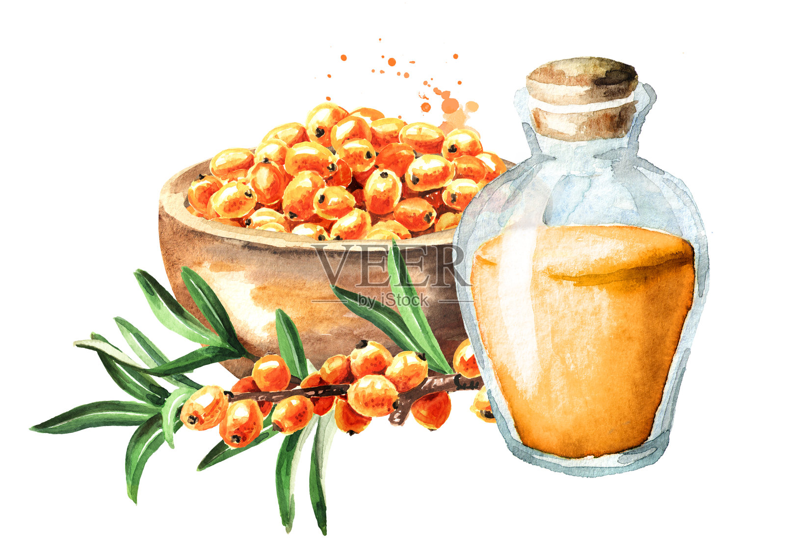 瓶沙棘油和成熟的浆果，手绘水彩插图孤立的白色背景插画图片素材