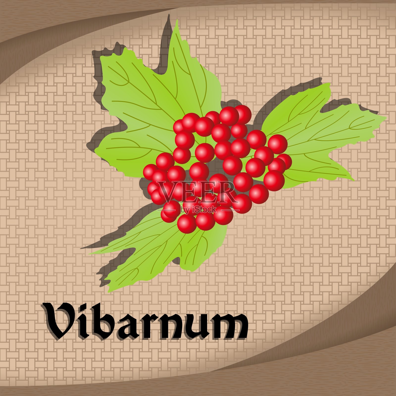 标签贴纸与调味振巴纳矢量图像复古风格插画图片素材