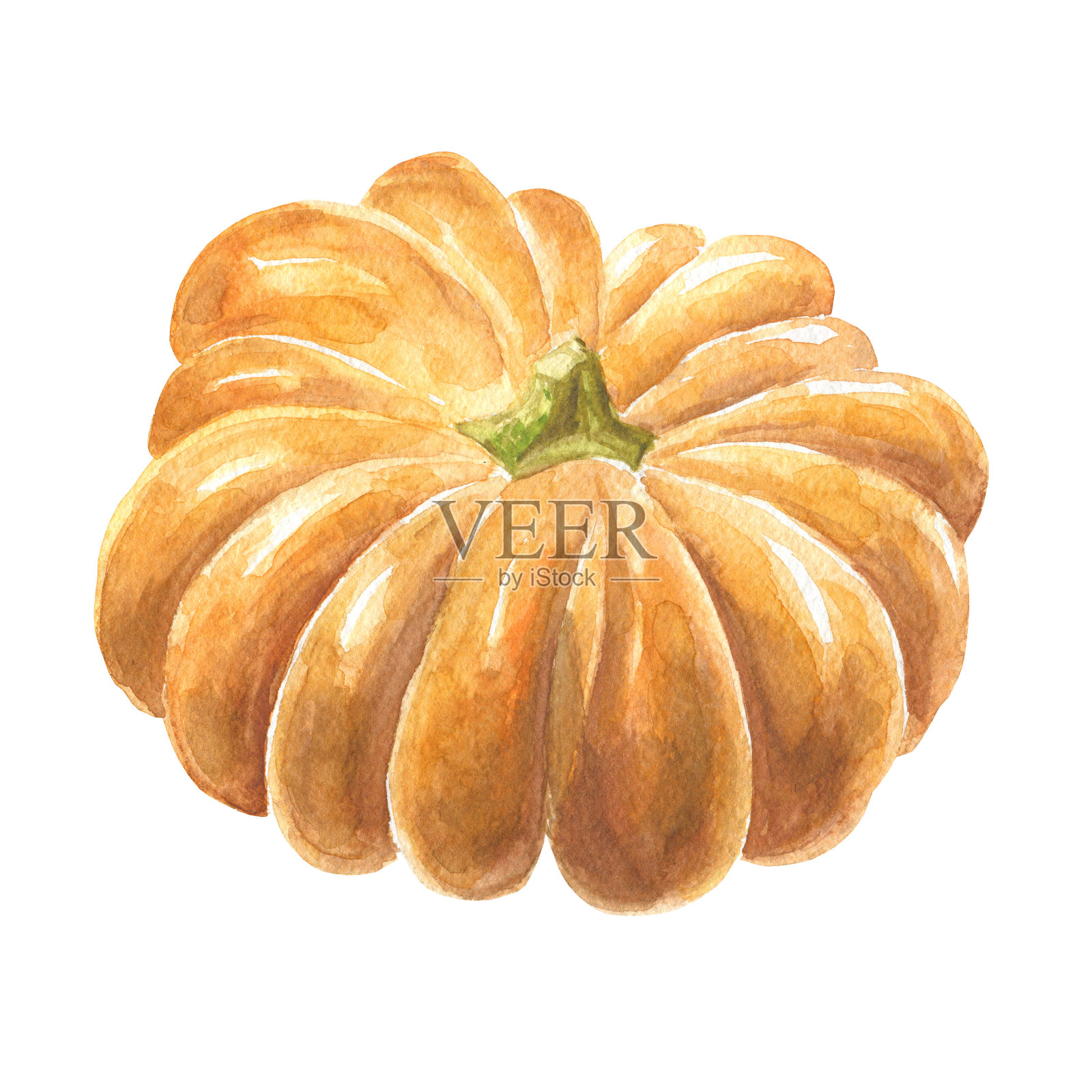 手绘水彩南瓜，孤立的白色背景。食品艺术插图。插画图片素材