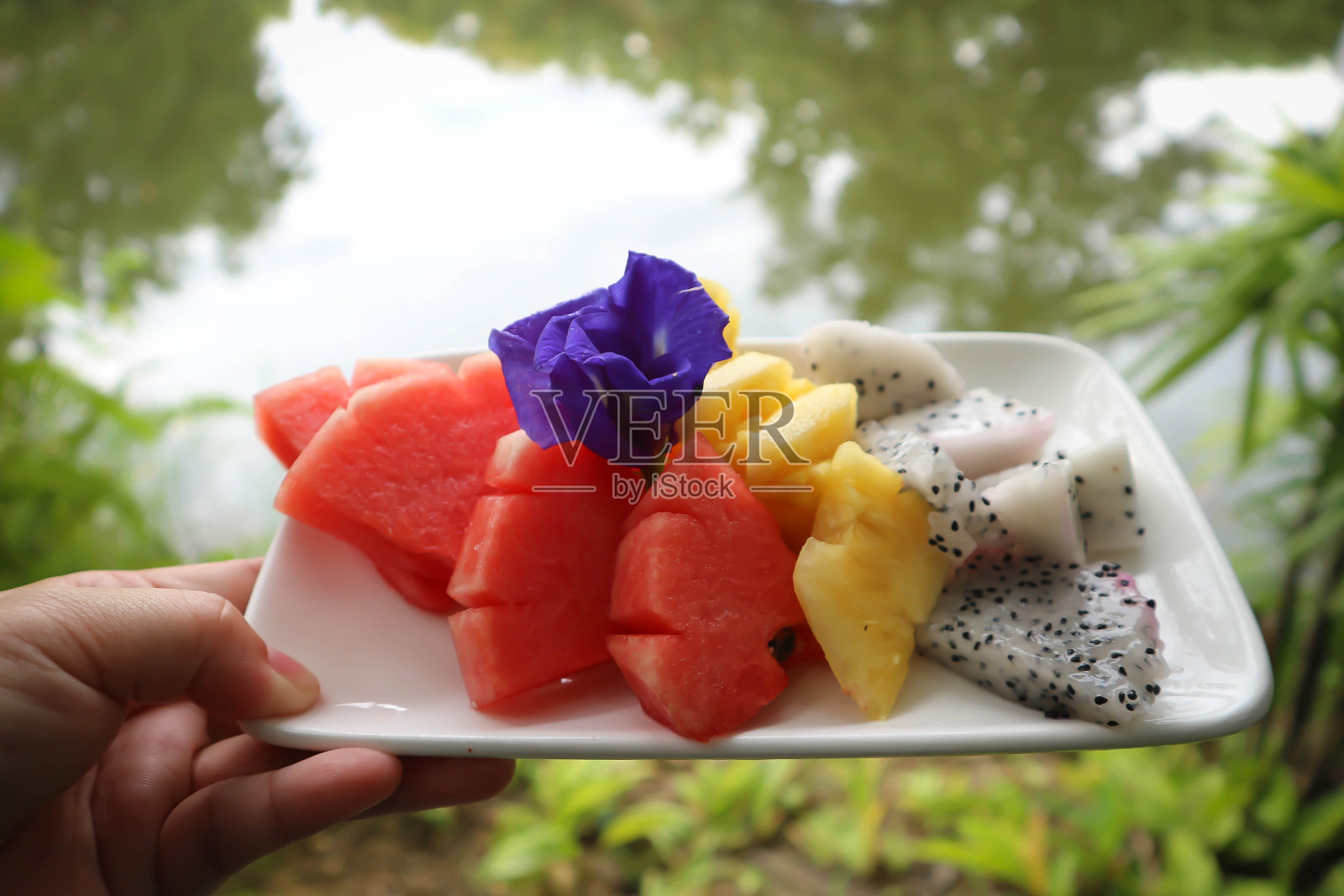 火龙果、菠萝和西瓜照片摄影图片