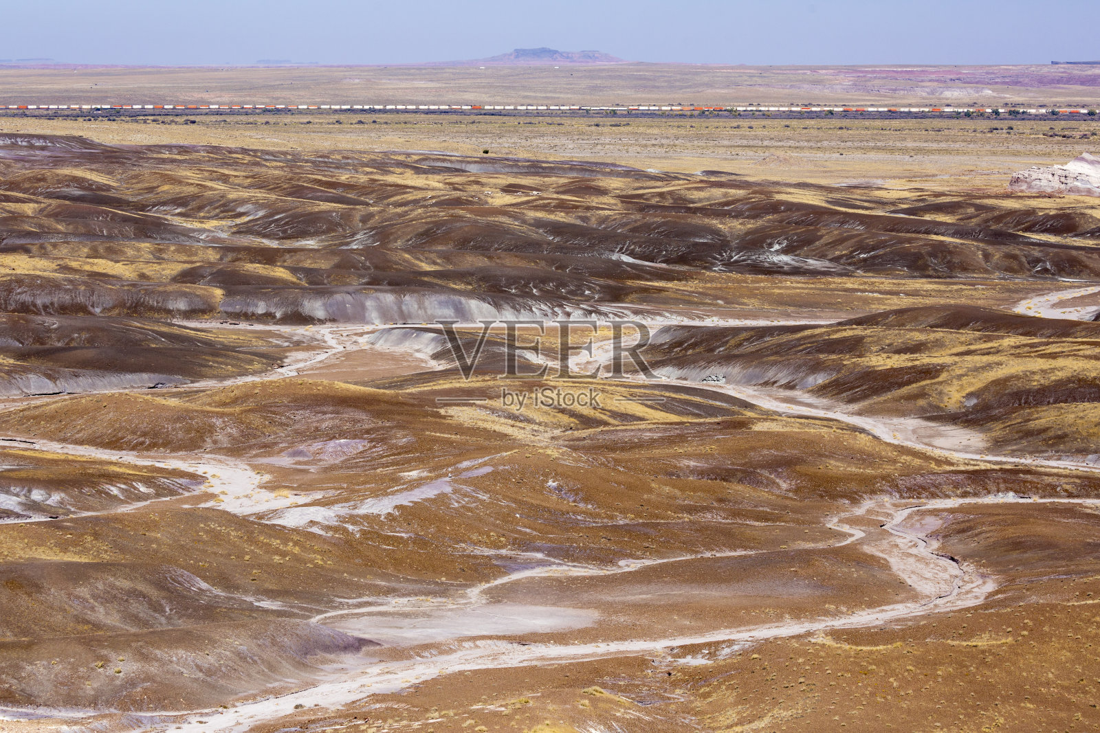 石化森林国家公园景观照片摄影图片