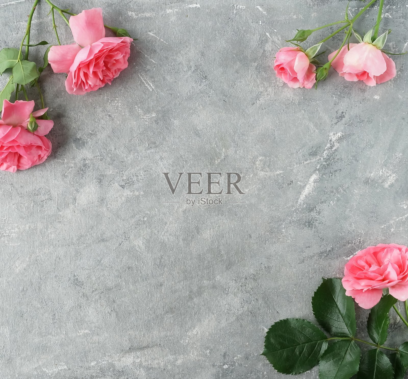 粉色玫瑰框架上的灰色复古背景俯视图，复制空间。花卡。节日的概念照片摄影图片