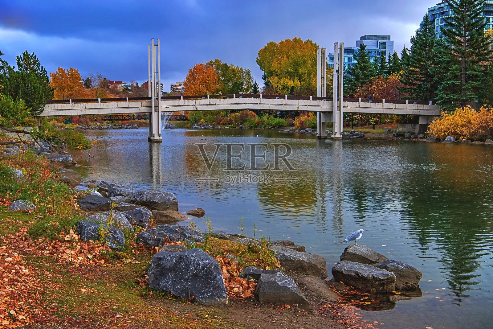 秋天公园上的忧郁云照片摄影图片