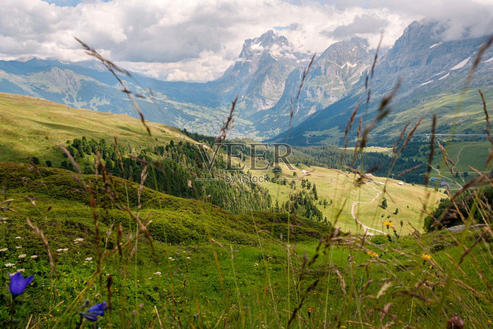 瑞士伯尔尼阿尔卑斯山的高山景观照片摄影图片