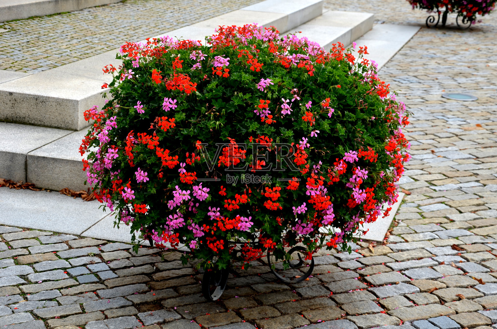 中世纪石头铺路：花岗岩、片麻岩、立方体、砂光旧石鹅卵石铺路，住宅区广场步行道，白色楼梯通往纪念碑基座，花卉种植照片摄影图片