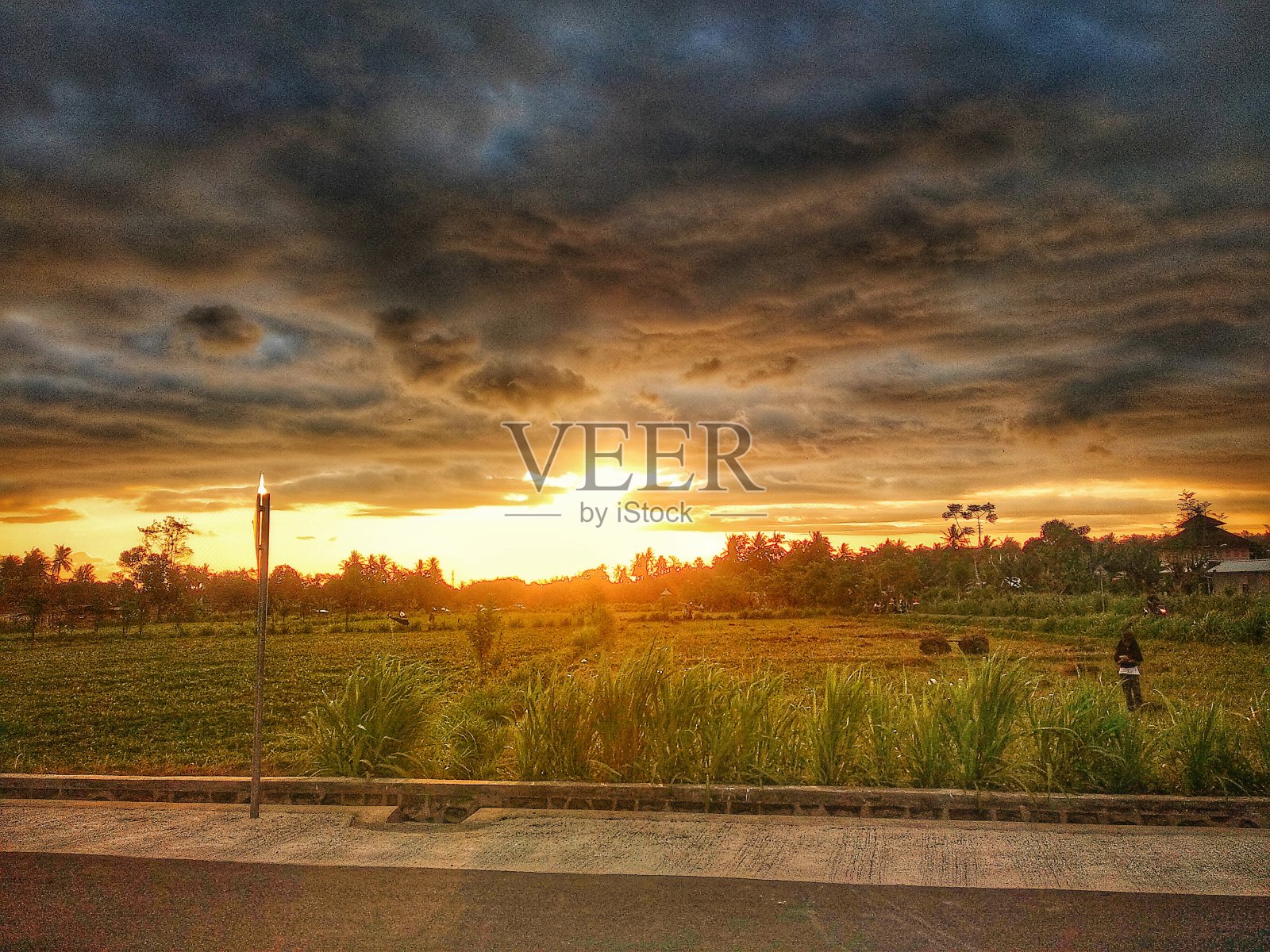 gunungsari田野里的日落照片摄影图片