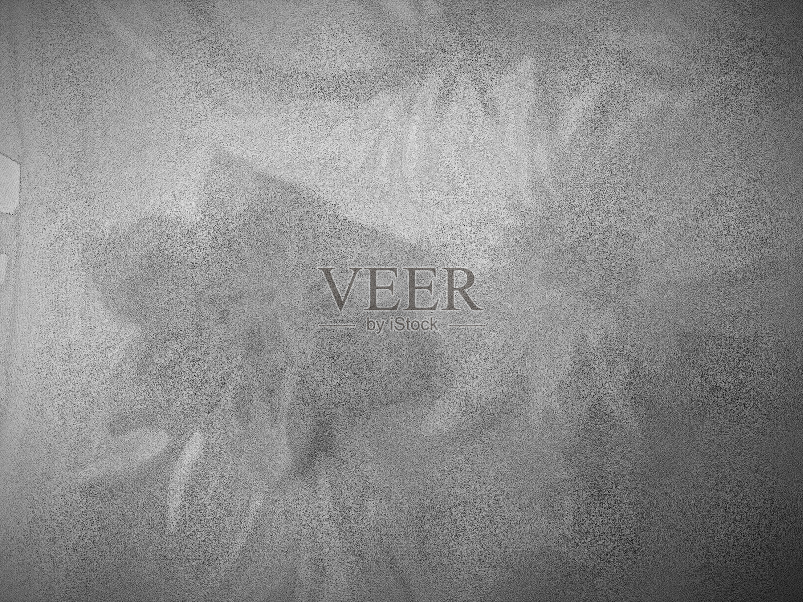 花照片摄影图片