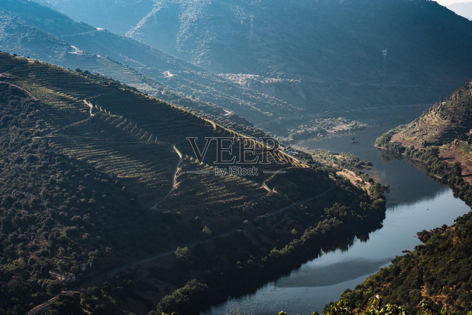 山的葡萄园。夏天。阳光明媚的一天。照片摄影图片