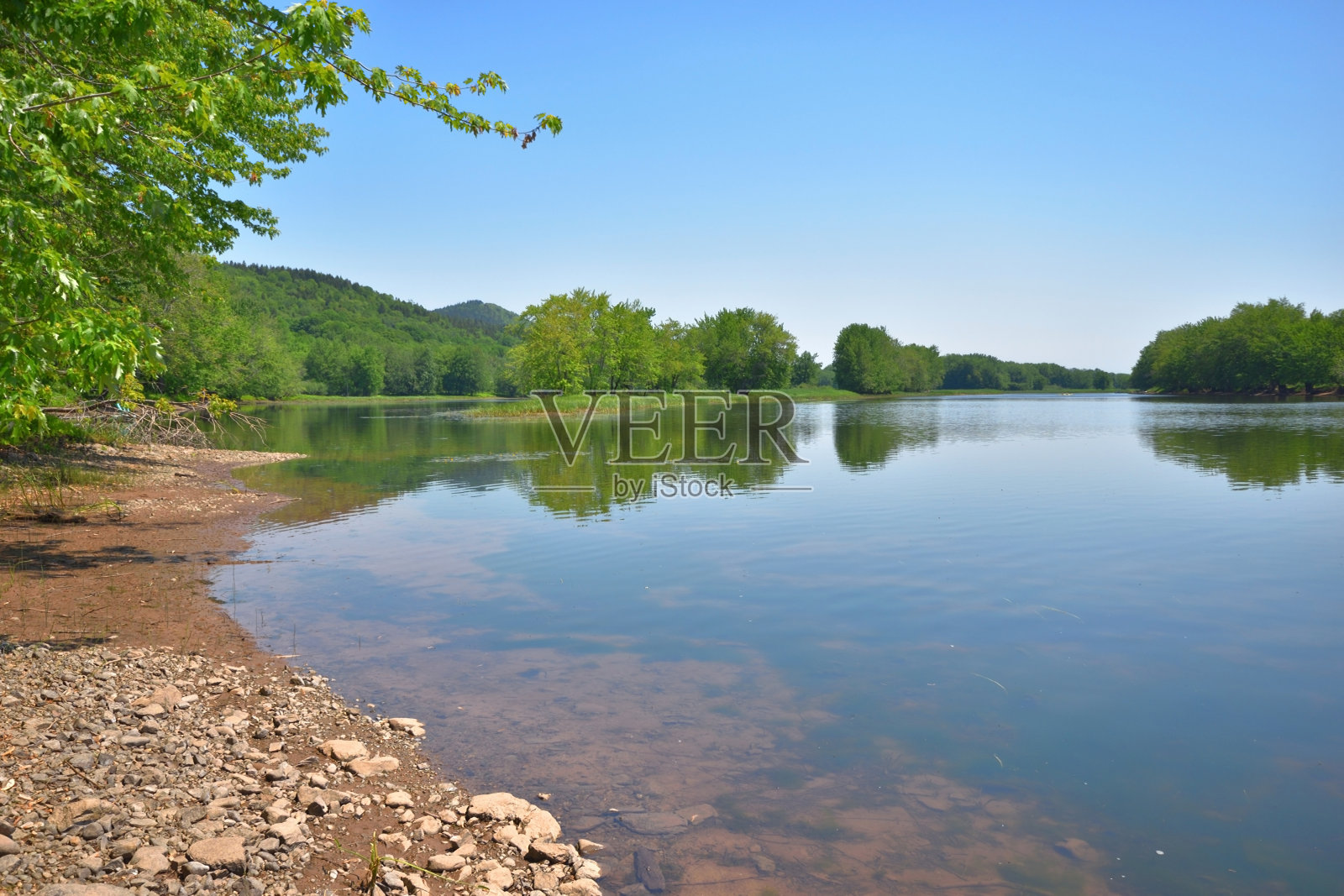汉普顿马什在一个阳光明媚的春天照片摄影图片