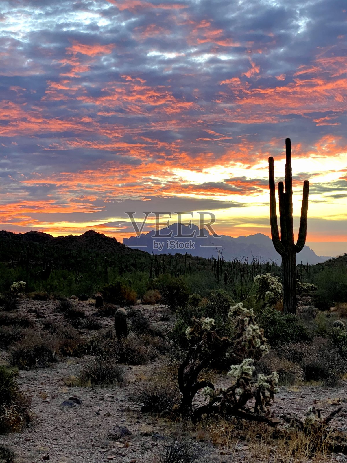 壮观的日出照片摄影图片