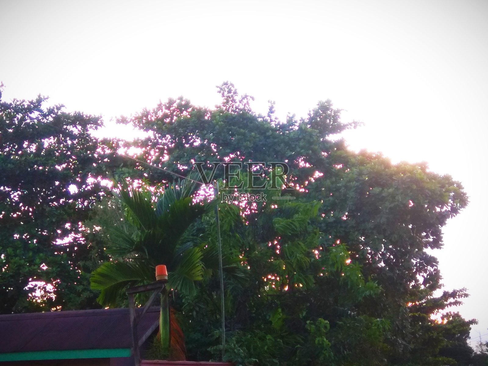 全景照片摄影图片