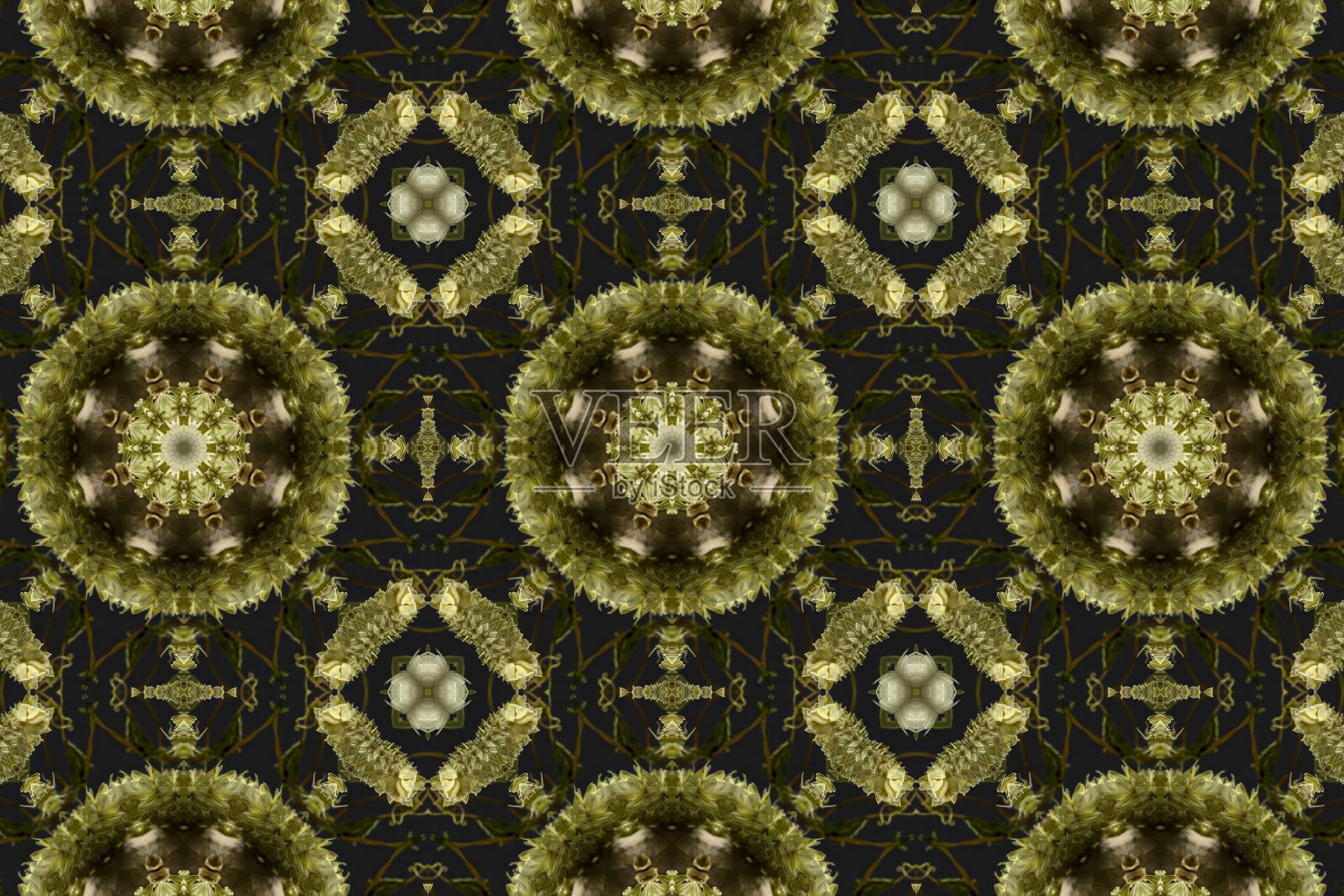 抽象多彩的无缝图案与花卉图案从花和叶子照片摄影图片