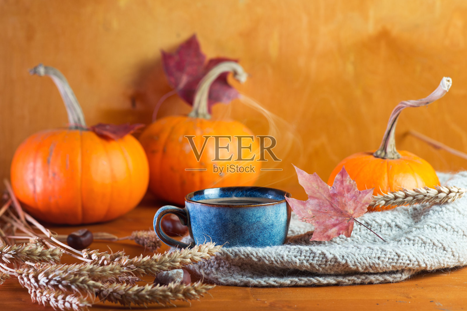 感恩节快乐的季节概念，一杯南瓜热咖啡，一条温暖的秋天围巾在一个木制的背景照片摄影图片