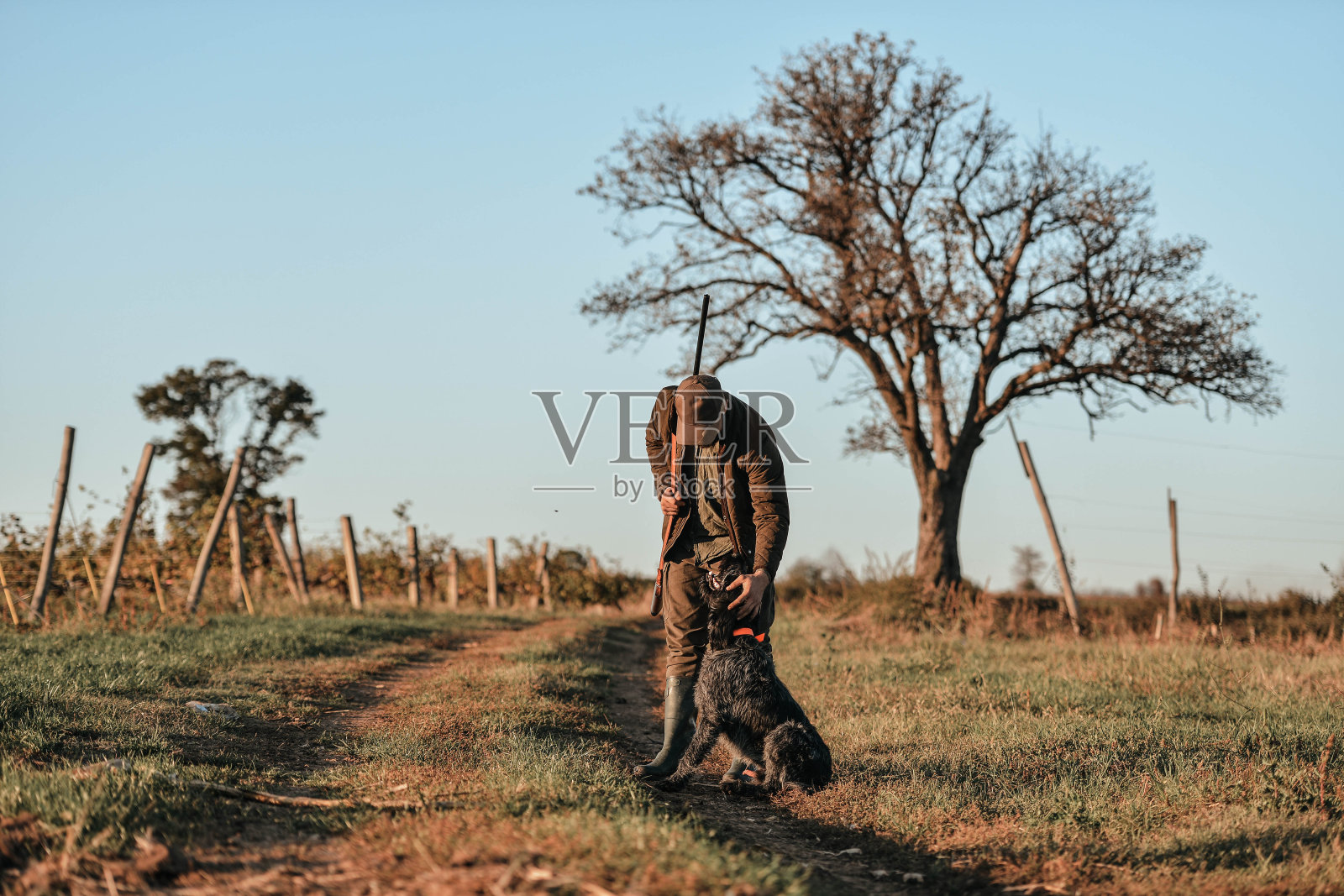 秋季狩猎照片摄影图片