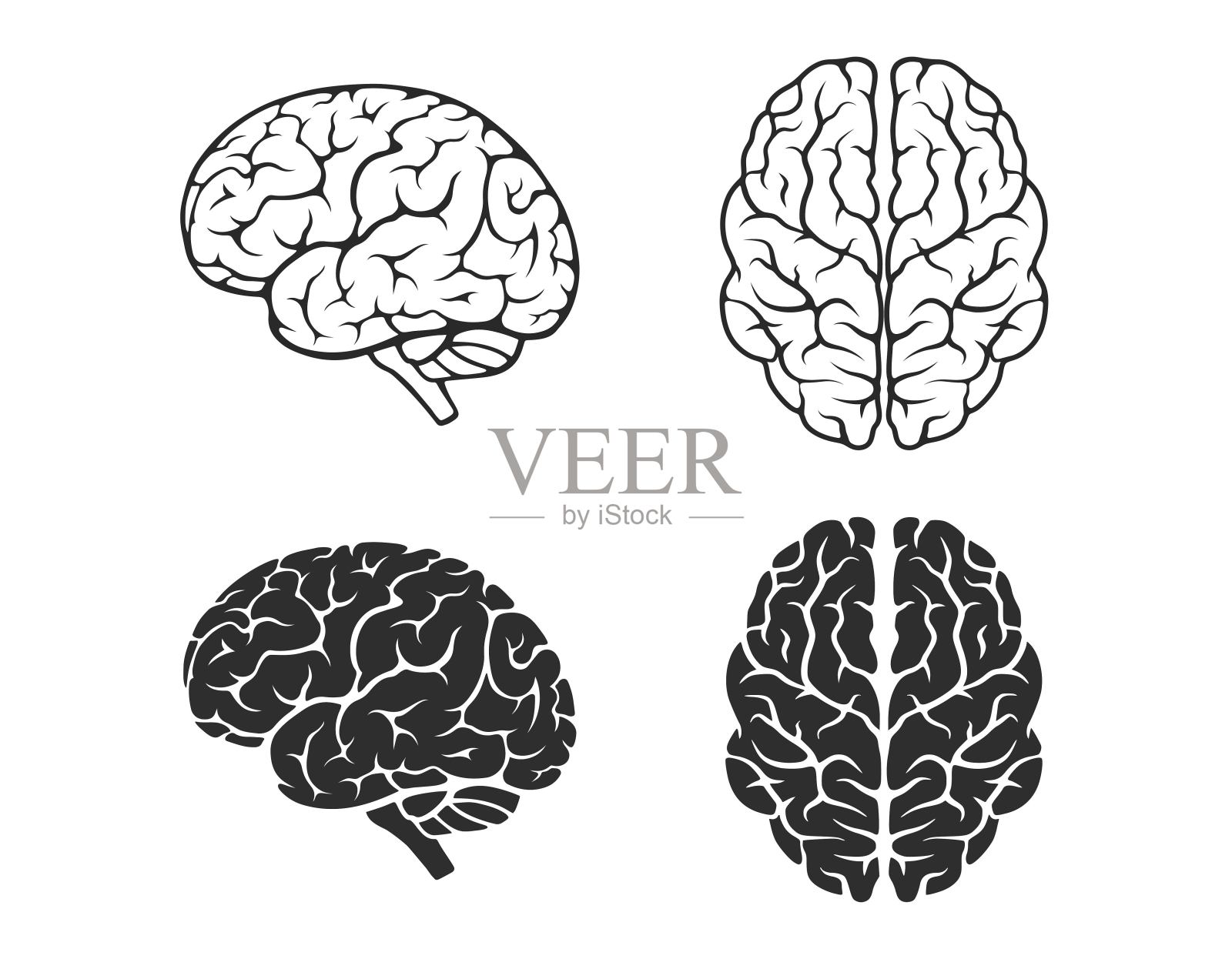 大脑的图标集。精神，智力和医学神经学符号设计元素图片