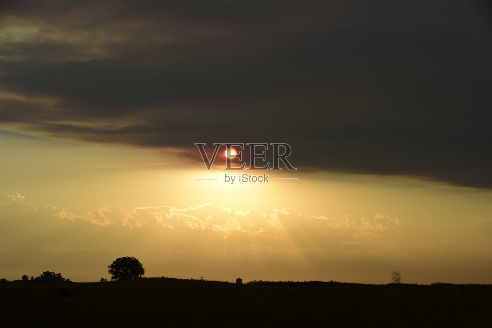 潘帕斯草原景观日落照片摄影图片